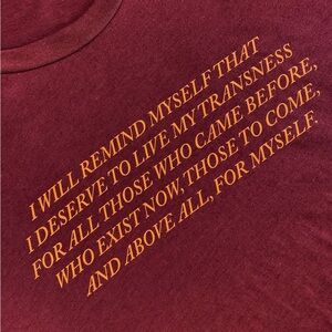 Trans history 🏳️‍⚧️ Maroon and Gold Lettering Short Sleeve Tee